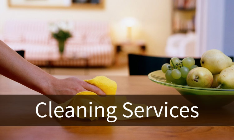 Big Canoe Cleaning Services